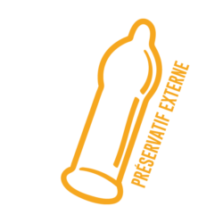 8 8