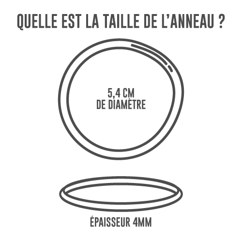 illu_25_anneau_v3